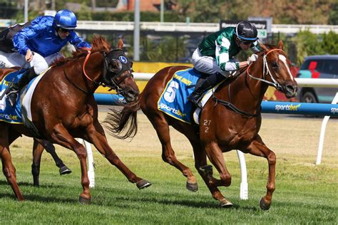 caulfield stakes results